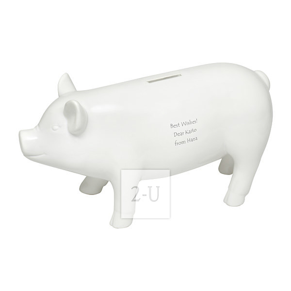 豬豬存錢罐 L