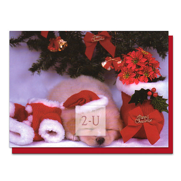 聖誕節小狗賀卡