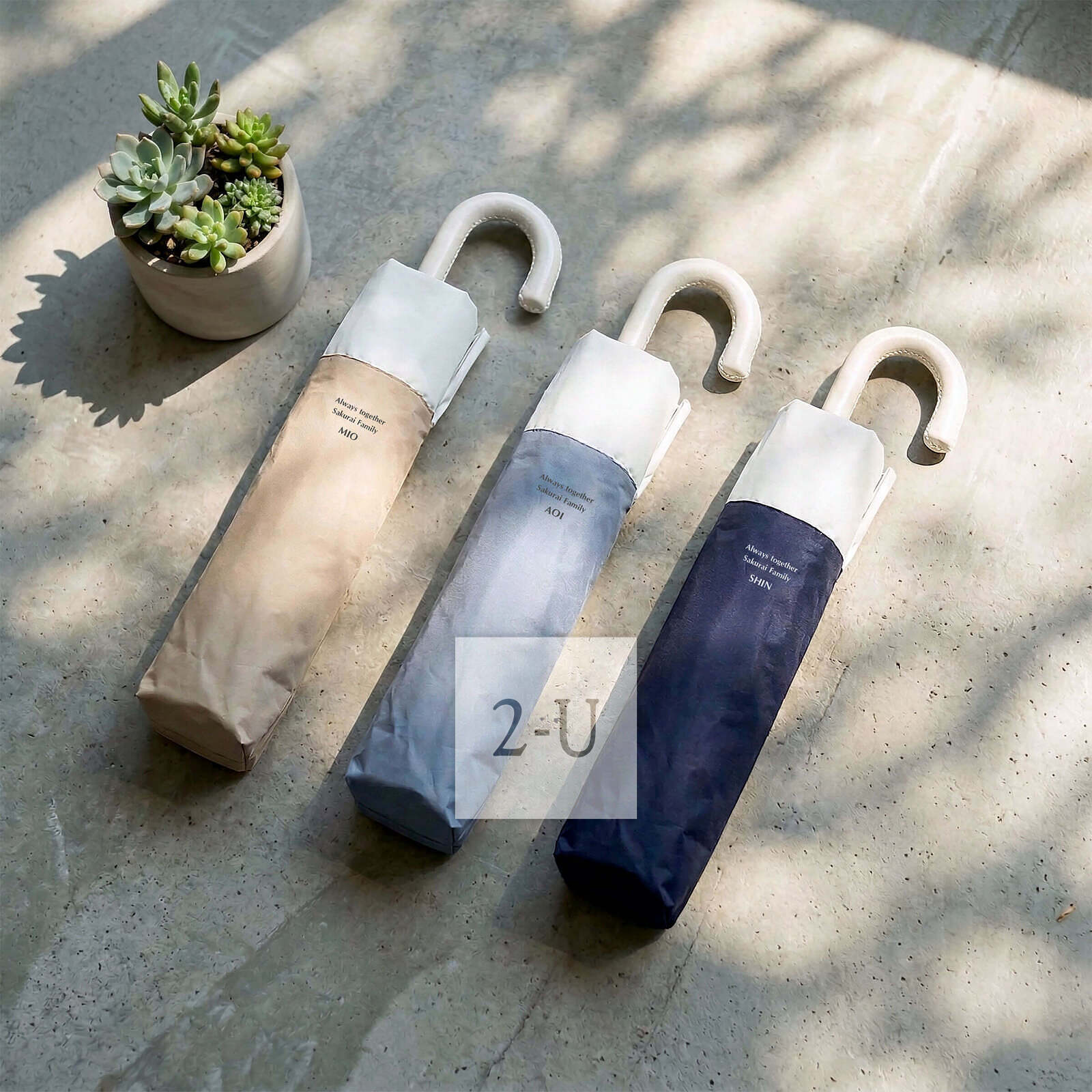 搬新傢，紙巾也換新裝