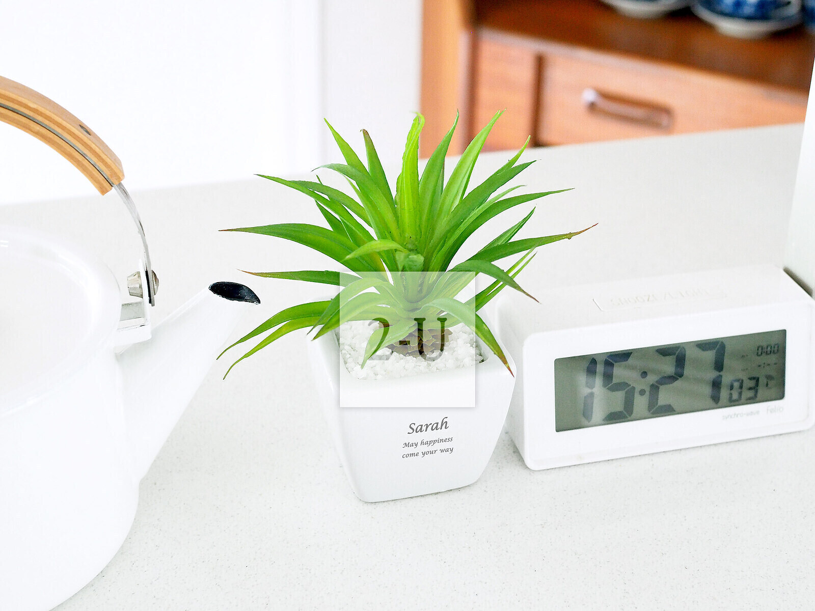 守護清新空氣的結婚賀禮