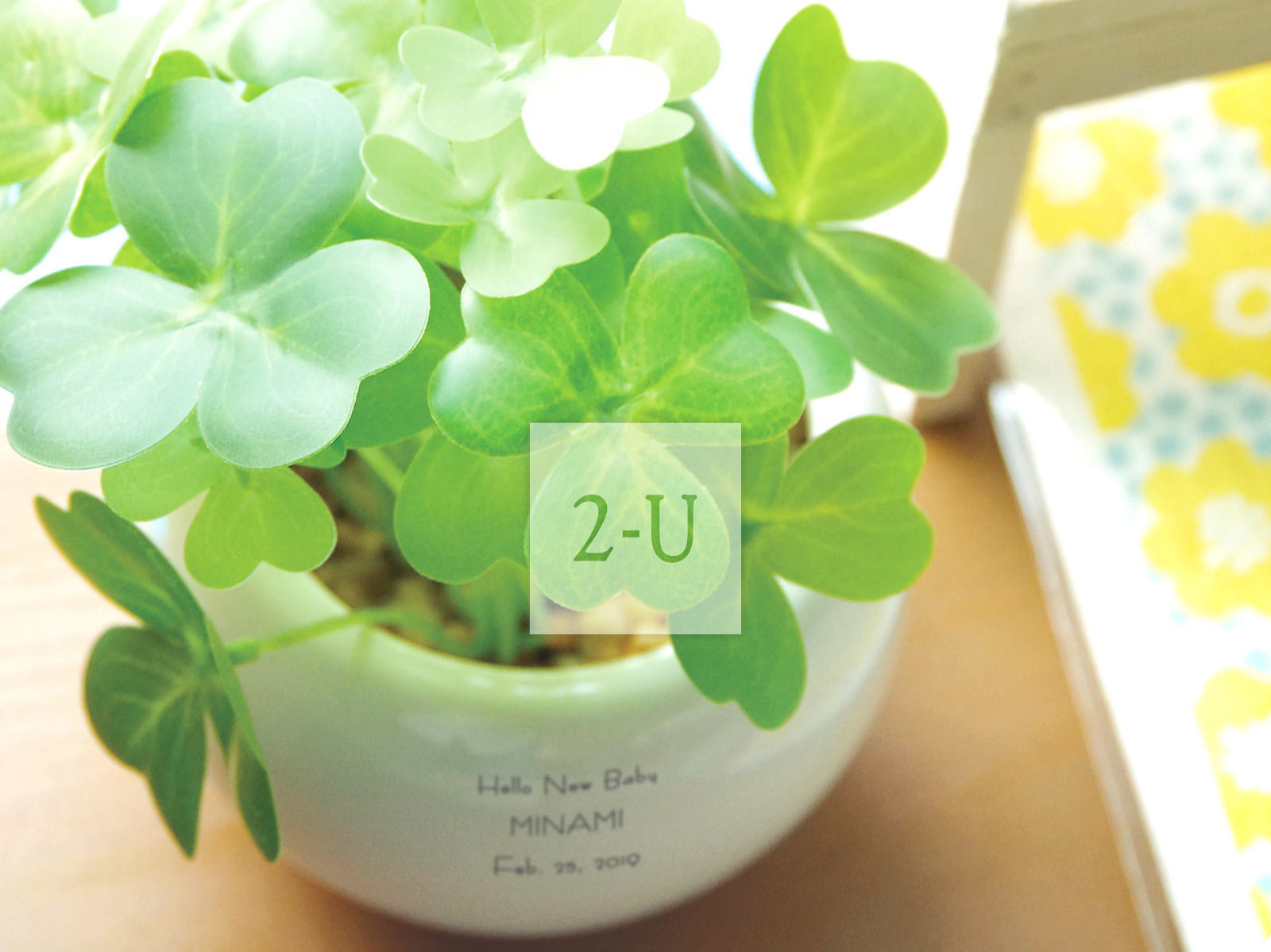 祝妳好運！！傳遞倖運的紀唸品