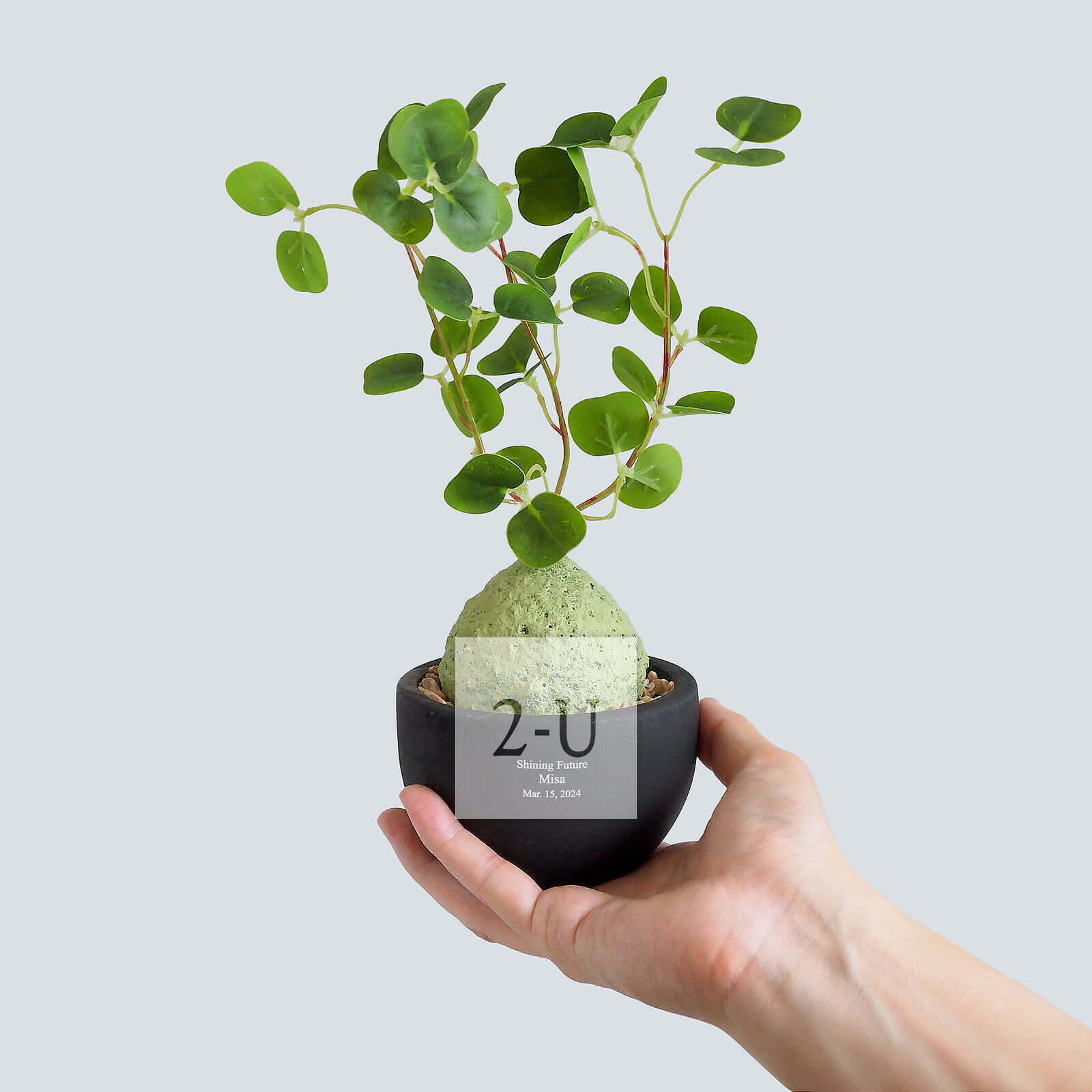 定製名字祝福語