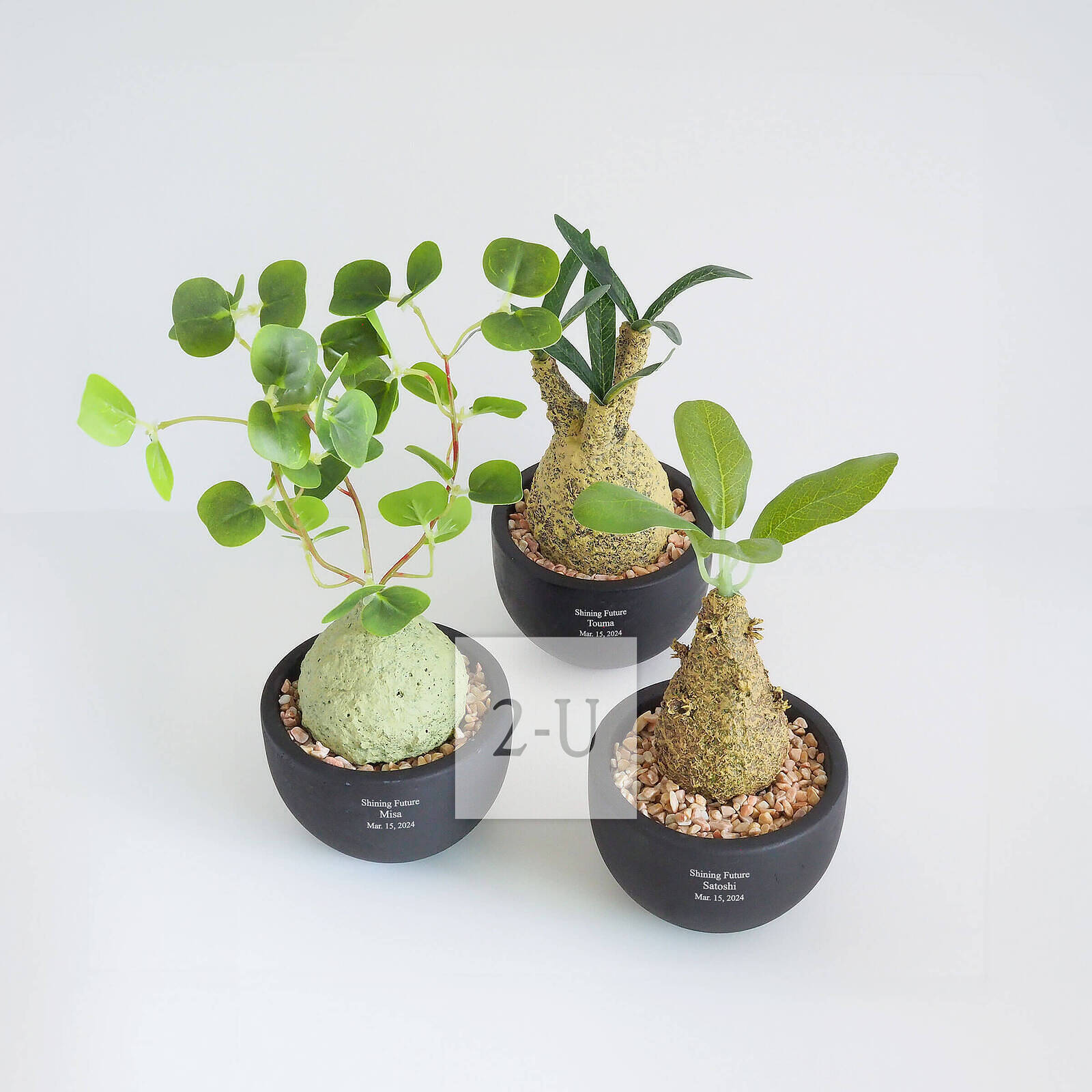 有三種類型可供選擇