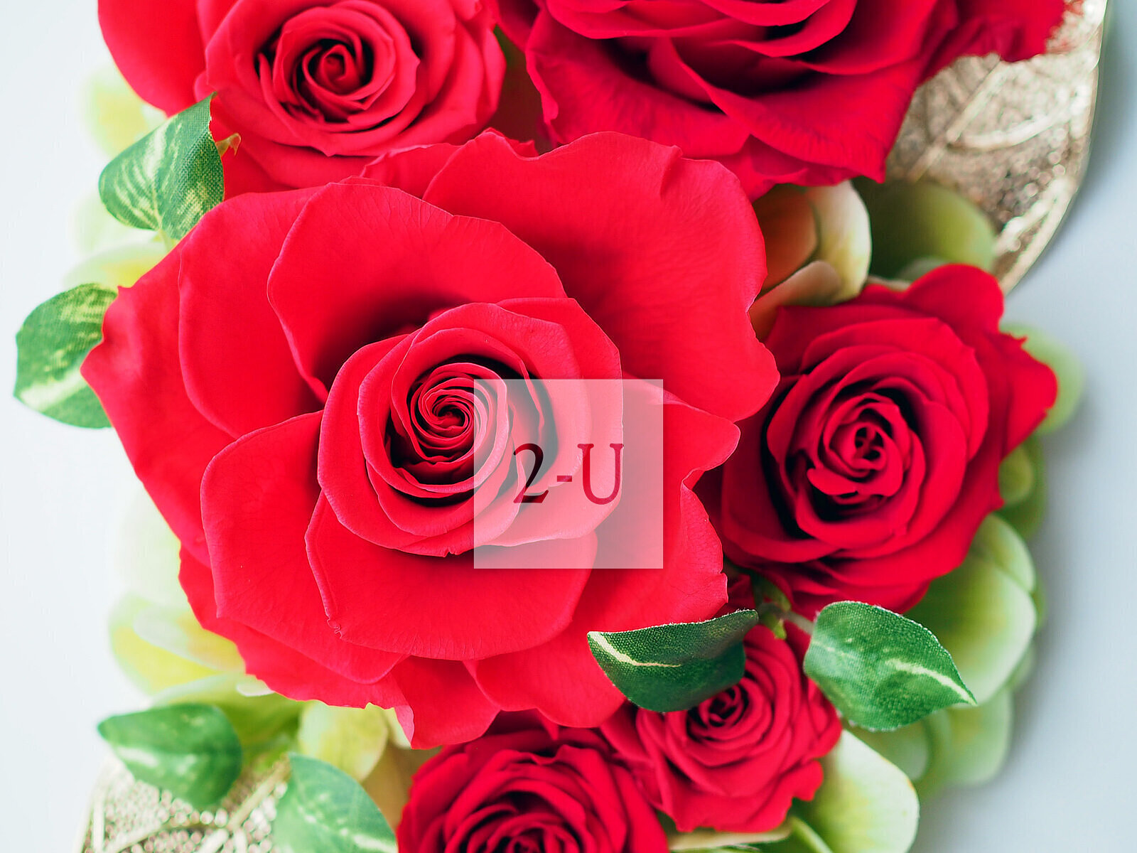 可以刻字的 "永不凋謝" 的保鮮花