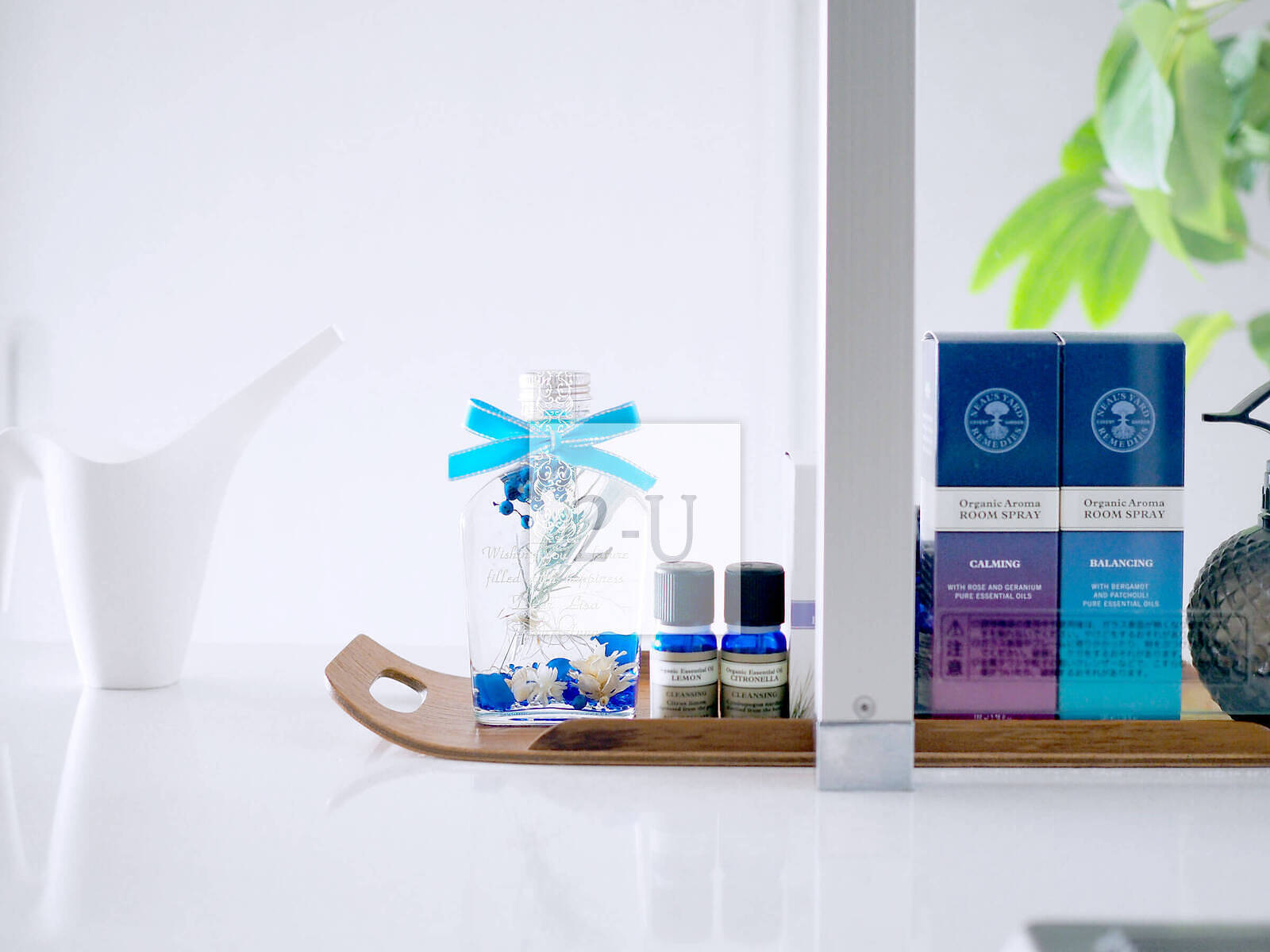 緻27歲的她：一萬日生日的浪漫奇跡