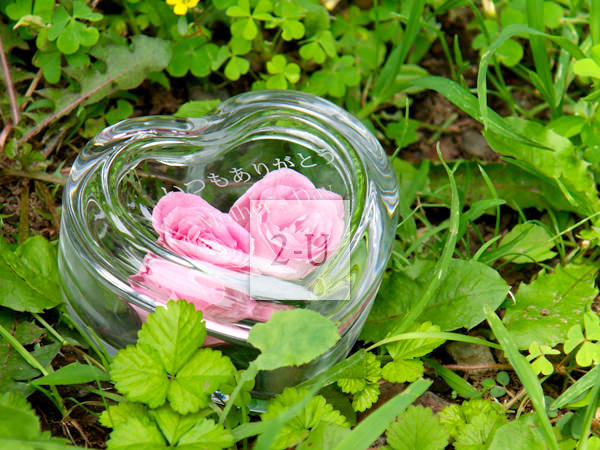 傾心之禮，真心之約，開啓真摯求婚