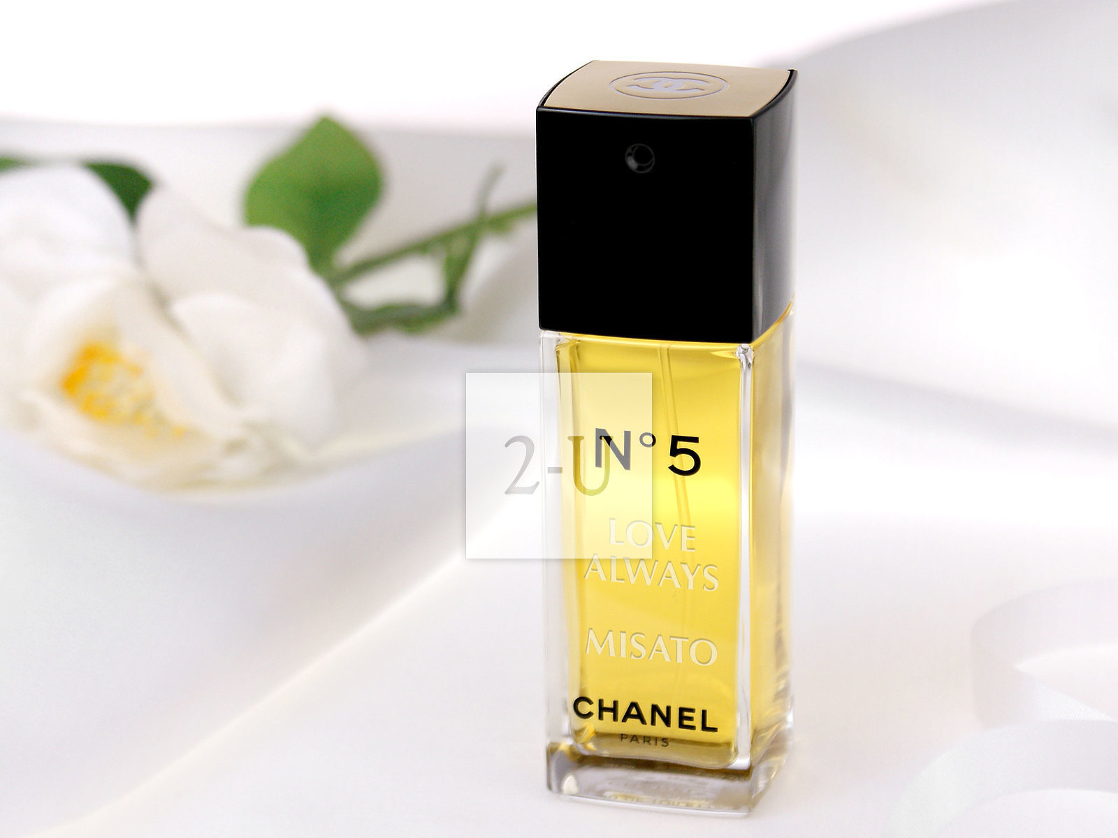 老師，妳是我的夢中情人