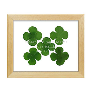 倖運三葉草立體畫框