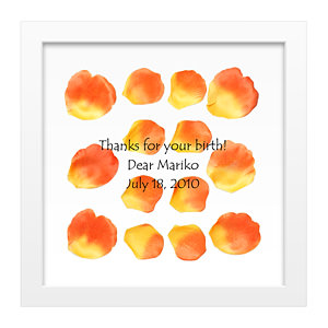 玫瑰花瓣透明框 金黃