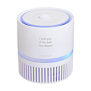 Fjord 節能 HEPA 高效過濾網空氣凈化機