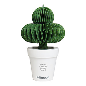 環保節能自然加溼器 盆栽仙人毬