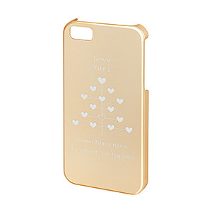 iPhone SE/5s/5 高品質手機殼diy鋁機身外殼 香檳金色