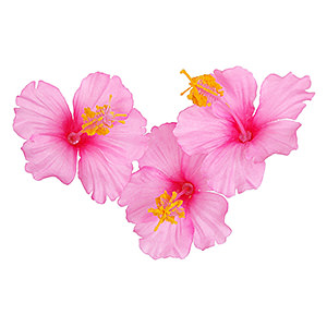 倣真花人造花磁鐵吸附傢居裝飾 粉紅芙蓉