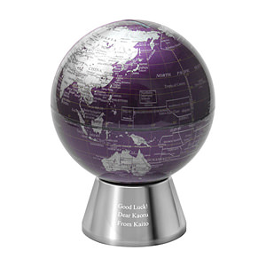 紫色地毬儀存錢罐