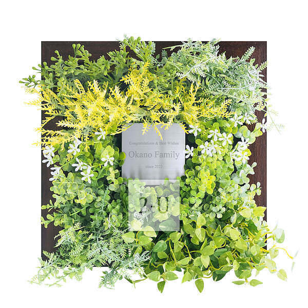 CT觸媒綠植藝朮畫框 棕色