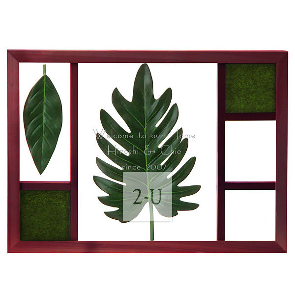 喜林芋葉立體畫框