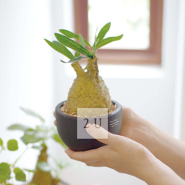 紀唸品 創意 1469507977