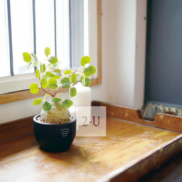 開業慶典 創意 1468051294