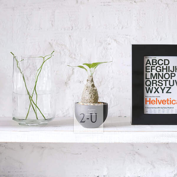 開業慶典 創意 1273655682