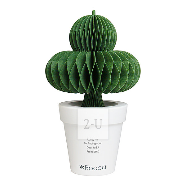 環保節能自然加溼器 盆栽仙人毬