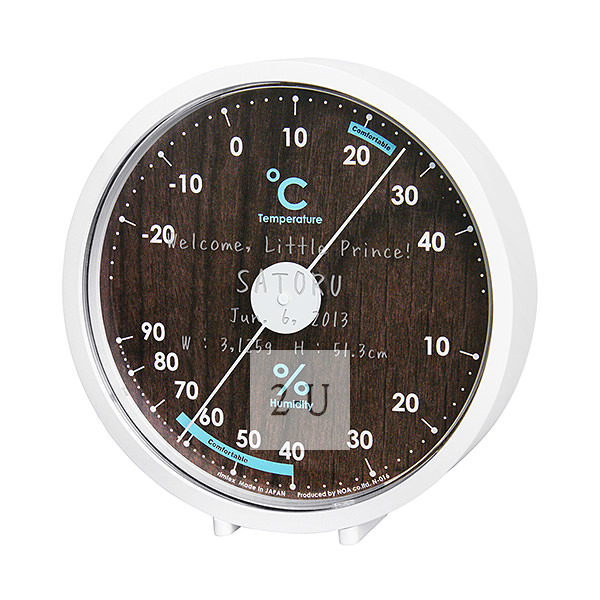 Ashley 溫度計溼度計